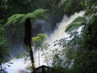 Albums/20060200-New Zealand 2006/20060313-Catlins/45